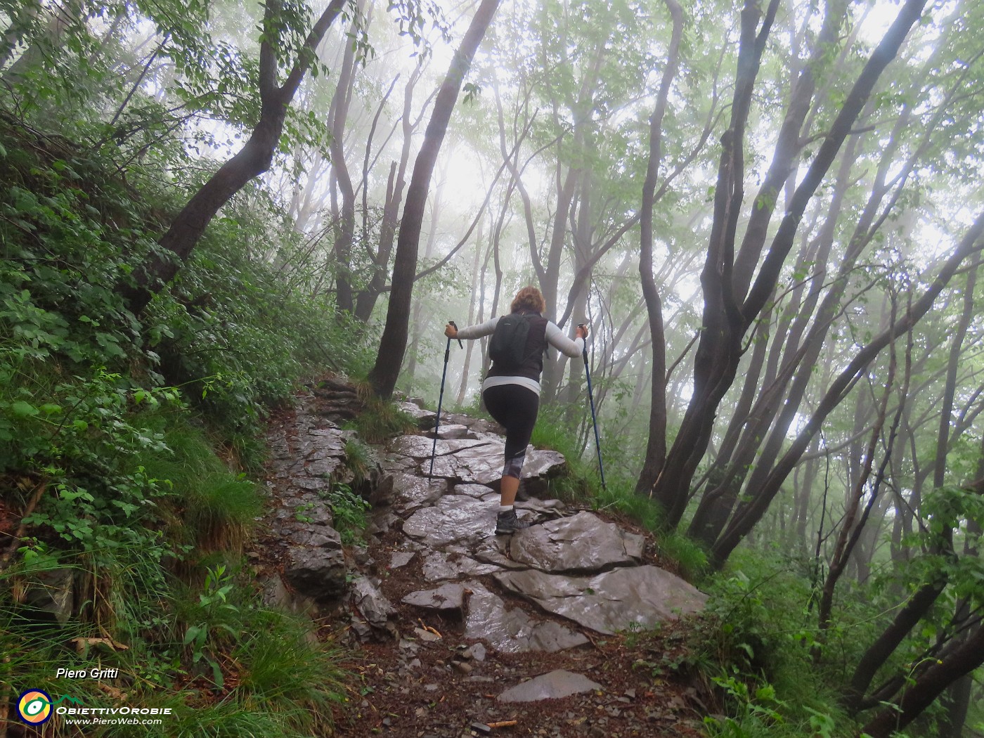 10 Il fascino della nebbia ....JPG